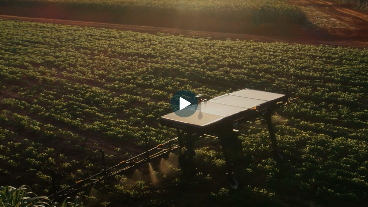 https://linkwise.com.br/Blog/A_revolucao_robotica_da_agricultura_Conheca_Solix_o_robo_autonomo_que_esta_transformando_o_campo.127.1